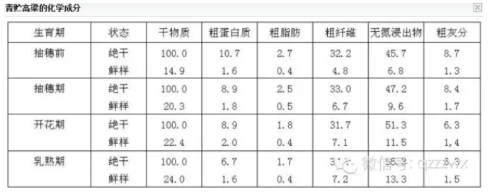 高粱青贮发酵